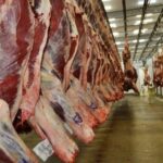 Exportações do Acre crescem 31% e se aproximam de US$ 100 milhões em 2026