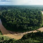 Justiça manda Estado do Acre e Imac ampliar transparência e liberar base pública de dados ambientais em até 90 dias