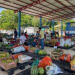Resultado final do PAA no Acre habilita 433 agricultores familiares e amplia fornecimento para 191 entidades
