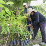 TJAC vai plantar 3 mil mudas em Rio Branco e mira 15 mil árvores até 2030 em projeto de reflorestamento