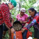 Governo do Acre articula retomada da subvenção da borracha e do murumuru no Vale do Juruá