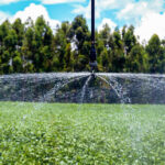 Satélites e IA da Embrapa identificam áreas irrigadas pela umidade do solo