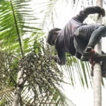 Governo federal investe R$ 132 milhões para regularizar terras na Amazônia Legal, com ações no Acre