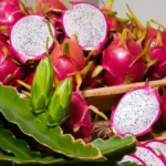 Feira Brasil na Mesa reúne agricultura familiar e chefs em Planaltina (DF) para ampliar mercados e negócios