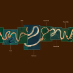 Amazônia lança marca “Visite Amazônia” para atrair negócios com tipografia inspirada nas curvas dos rios