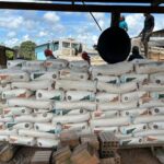 Governo do Acre entrega calcário e adubo a 230 produtores e amplia programa de pecuária leiteira em 11 municípios