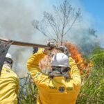 Governo do Acre divulga homologação de inscrições para seleção de brigadistas comunitários
