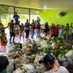 Governo do Acre lança nova etapa do PAA Indígena em Feijó e prevê atender 212 produtores em 2026