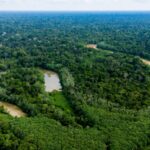 Acre registra 21 focos de calor e lidera redução de queimadas no país em 2026