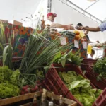 CNPJ para autônomos e produtores rurais fica para 2027