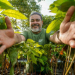 Viveiro em Santarém projeta até 250 mil mudas nativas da Amazônia em 2026