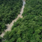 IMC firma 11 parcerias com organizações rurais para ampliar produção sustentável no Acre