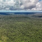 Reino Unido anuncia £400 milhões para fundo de florestas tropicais lançado pelo Brasil