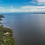 Amazônia abriga mais de 2,7 mil espécies de peixes de água doce