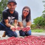 Acre tem dois produtores entre os 24 melhores cafés canéforas do Brasil
