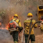 Queimadas avançam no Amazonas e governo federal mobiliza força-tarefa após decreto de emergência