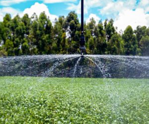 260428_MonitoramentoSatéliteIrrigação_Wenderson_Flickr CNA