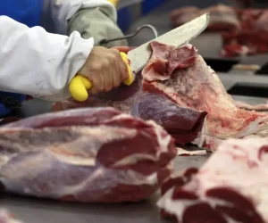 O Acre lidera o ranking entre os 27 estados, superando Rondônia, Roraima e Alagoas/ Foto: Reuters/ Paulo Whitaker