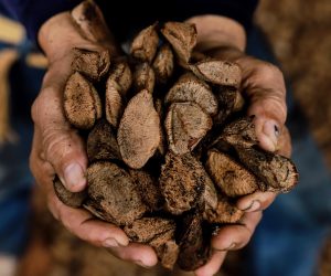 E57D94C1-277D-4BD2-9614-BE08A1CB4E5F (1)