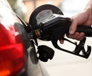 gasolina.webp.webp