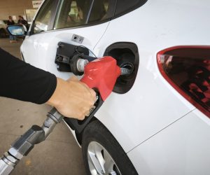 IMG_20260324_093913-2048x1536