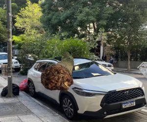 padrao-feed-oficial-rede-2025-12-10t175746.078