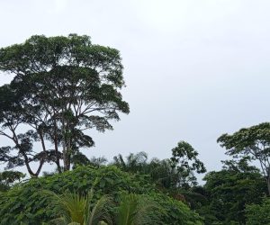 Domingo será de chuva a qualquer hora no Acre/Foto: ContilNet