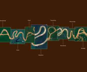 turismo-amazonia-identidade_visual-turismo-1775852787