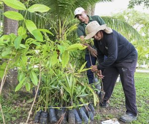 Foto: Gleilson Miranda/Secom TJAC
