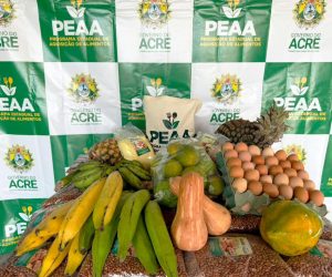 WhatsApp-Image-2026-04-23-at-11.25.49